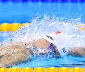 开云登录通道-复盘即复出？德约观战引爆丹佛，网友，他在给爵士队长发信号，德约观战NBA引爆复出猜测，网友解读，他在向爵士队长发送信号？